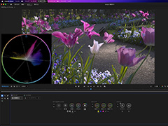 �u�Ȃ�قǁA���������������v�\�\Adobe Premiere�ɒǉ����ꂽ�u�J���[���[�h�v�Łg�J���O���h������