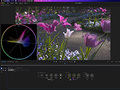 �u�Ȃ�قǁA���������������v�\�\Adobe Premiere�ɒǉ����ꂽ�u�J���[���[�h�v�Łg�J���O���h������