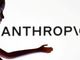 Anthropic�����\��
