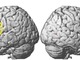 �u���̃}���K vs. �d�q�}���K�v�A�ǌ�̔]�����ɍ��@����Ȃǂ�fMRI�Ŏ��؁@�w�p���Ɍ������\