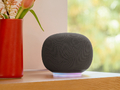Google�AGemini��p�݌v�̐V�X�}�X�s�uGoogle Home �X�s�[�J�[�v��1��6800�~�Ŕ�����