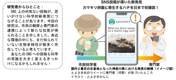 �摜