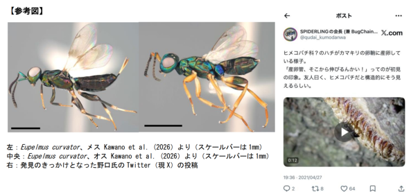 �摜