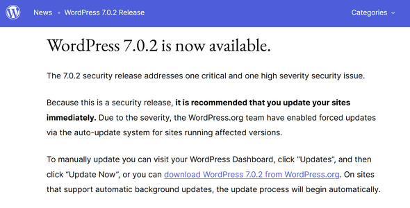  wordpress