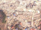 Googleマップに新たな被災地航空写真　宮城、茨城など