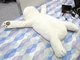 “枕ロボット”が寝ている人をつんつん　睡眠時無呼吸症候群に対抗する「じゅくすい君」初公開