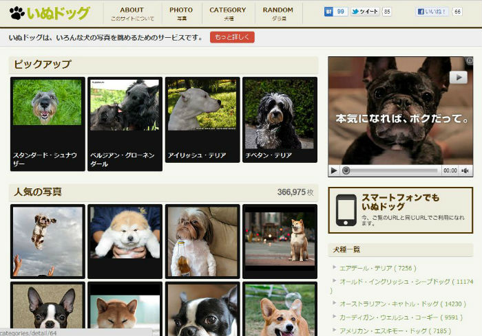 犬好きには天国 わんこ写真が満載のサービス いぬドッグ ねとらぼ