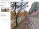 Googleマップに嵯峨野トロッコ列車のストリートビュー　保津川渓谷の紅葉広がる