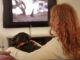 初の「犬のためのテレビ局」誕生　犬が見るための番組を放送