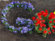 Googleロゴに花が咲く　アースデイ記念