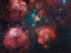 宇宙にも肉球はあった——赤く輝く「猫の手星雲」