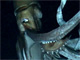 ダイオウイカVSマッコウクジラ——宿命の対決がNスペで　動画も公開中