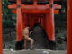 学生が伏見稲荷大社で裸写真撮影しTwitterに投稿　早稲田大学が謝罪