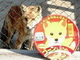 あらかわいい　旭山動物園で「きたきつねのコーンしょうゆラーメン」など先行発売