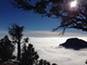 グランド・キャニオンにレアな濃霧が発生、雲海のような神秘的光景が話題に