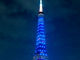 東京タワーがSAMURAI BLUEに　日本代表の試合前夜に応援ライトアップ