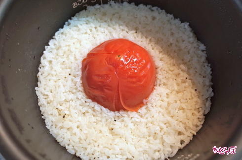 インパクトありすぎ トマトを炊飯器にぶっ込んで炊くだけの トマト丸ごとごはん が意外なウマさだった ねとめし ねとらぼ