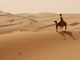 Googleストリートビューに「リワ砂漠」登場　ラクダで撮影