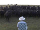 ドドドドドド……トロンボーンを吹いたら牛の大群がやって来た