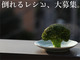 豪快料理「倒れるブロッコリー」の平野レミさんが「倒れるレシピ・コンテスト」を開催　この人メンタル強すぎだろ！