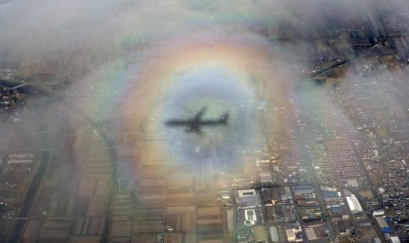 ブロッケン現象うおわぁああああああああああああああ 飛行機の影に虹のリングが ねとらぼ