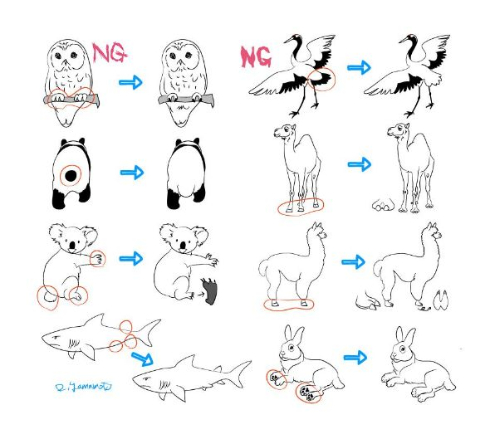 動物イラストを描く前にチェック つい間違えてしまいやすい 動物の