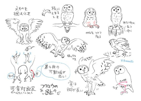 ひどい 可愛い 動物 の 書き方 壁紙清除