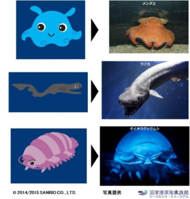 ダイオウグソクムシもいるよ サンリオが男の子向けの深海魚キャラ Shinkaizoku 発表 ねとらぼ