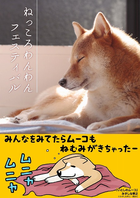 W わんわんお 総勢127匹の犬の寝姿写真集 ねっころわんわんフェスティバル 無料配信中で心がほっこりする ねとらぼ