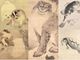歌川国芳のねこ、葛飾北斎のうさぎ　江戸の動物絵画を観る「動物絵画の250年」開催