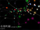 東京メトロの動きを3Dで視覚化した「metrogram3D」が幻想的でかっこいい