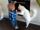 「危ないからやめニャさい！」　オーブンで遊ぶ赤ちゃんを必死に止めるネコ