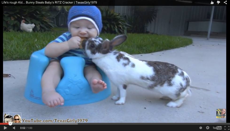 かわいい赤ちゃんにウサギさんがとった衝撃的な行動 ねとらぼ