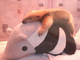 大きなぬいぐるみの背中に乗ったミナミコアリクイの赤ちゃんがかわいい！　とんでもなくかわいい！