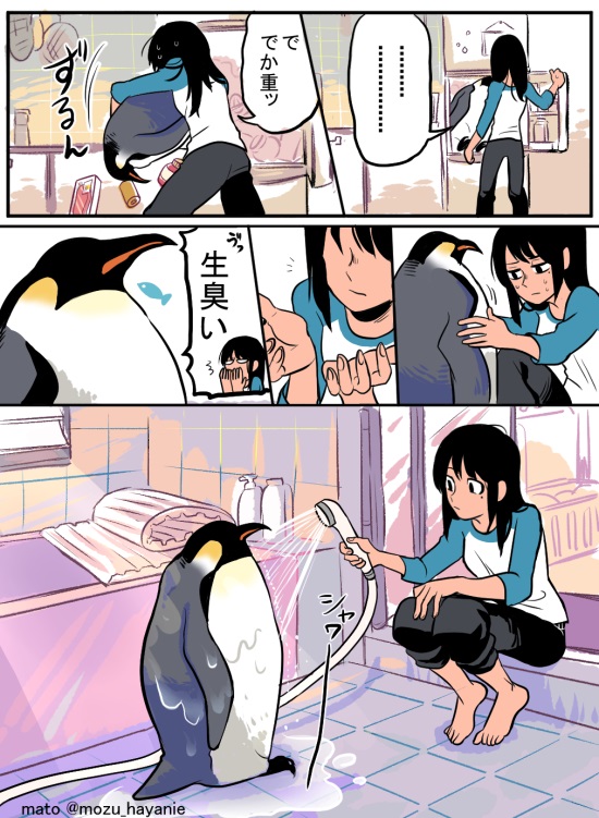 ちょっとシュールでめちゃかわいい 突然皇帝ペンギンと暮らすことになった漫画がtwitterで話題に ねとらぼ