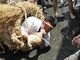 す巻きの男が水をかけられては法螺貝を吹き続ける奇祭「水止舞」　7月14日大田区で開催