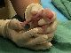 よく鳴く元気な赤ちゃんが生まれました　アメリカでジャイアントパンダの双子が誕生　同国では3例目
