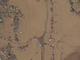 大規模水害起きた鬼怒川周辺、衛星写真をGoogleが公開