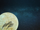 今年は中秋の名月からのスーパームーン！　2015年最大の月を眺めようよ
