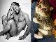 イケメンマッチョと猫ちゃんのポーズが似ている写真だけをひたすらあつめたTumblrがシュール
