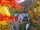 秋だ！　紅葉だ！　そうだ滝を見に行こう　日本の滝ランキング発表