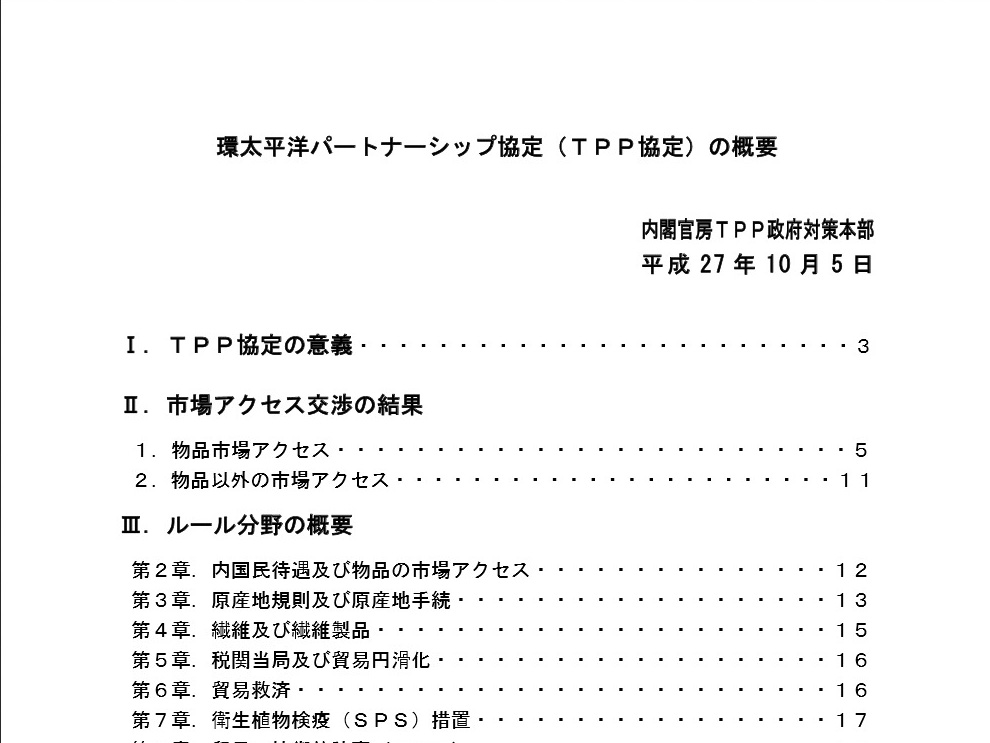 TPPで二次創作どうなる？ 官房サイトで概要公開 「非親告罪化」も