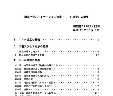 TPPで二次創作どうなる？ 官房サイトで概要公開 「非親告罪化」も