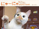テレ東ニュース番組のアイドル猫「にゃーにゃ」 DVD付き写真集発売決定！