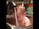 ジャー→ひゃっ！ 水浴び中の赤ちゃん、水がかかるとびっくり顔に