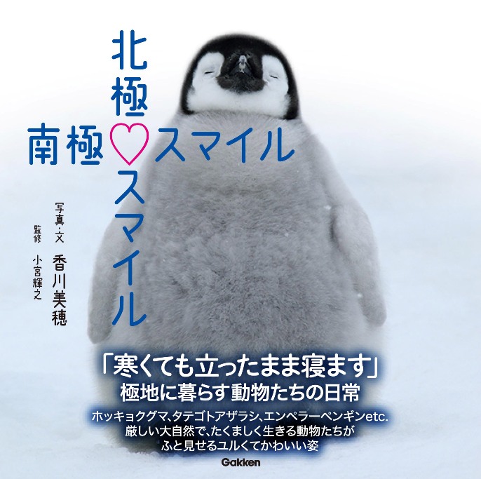 ホッキョクグマの親子やペンギンの子ども！ 北極圏＆南極圏に暮らす