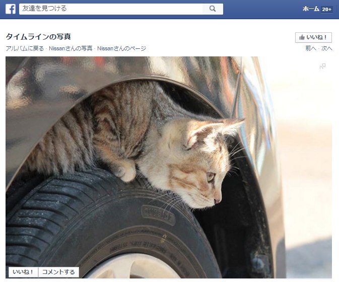 エンジンルームやボンネットに猫が入り込む季節 日産が乗車前の 猫バンバン を呼びかける ねとらぼ