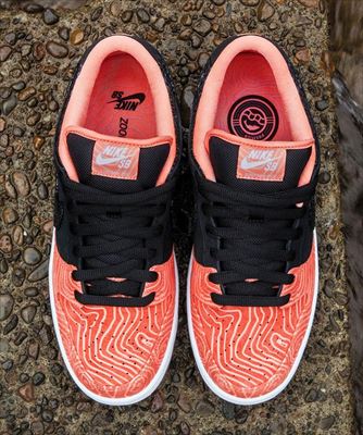 Nike SB Premier Fish Ladder