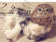 もふもふのコラボ！　フクロウのフクちゃんと子猫のマリモちゃんのイチャイチャ写真集が発売決定
