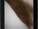 ジョン・レノンの毛髪、約400万円で落札　毛髪としては最高額